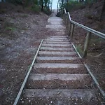 Petit Bonheur Au *