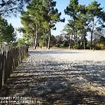 Petit Bonheur Au