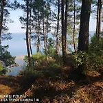 Petit Bonheur Au *