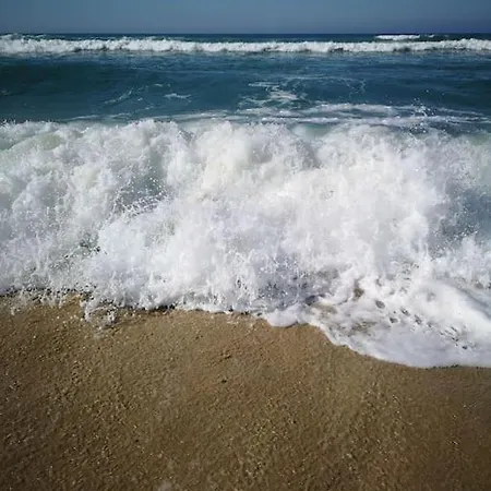Cocon Nature Entre Et L Ocean * Carcans