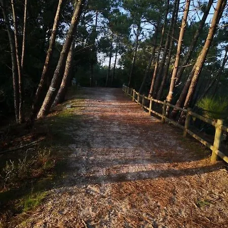 Cocon Nature Entre Et L Ocean Appartement Carcans