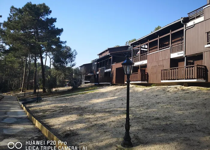 Apartment Petit Bonheur Au *